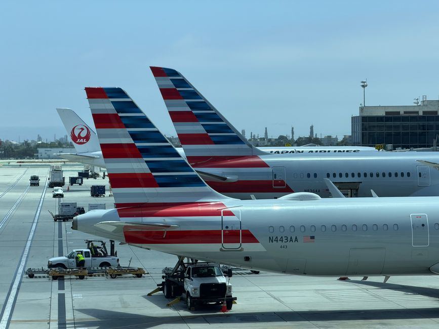 American Airlines Reports 88% Q2 Profit Drop, Projected to Lose Money in 2026