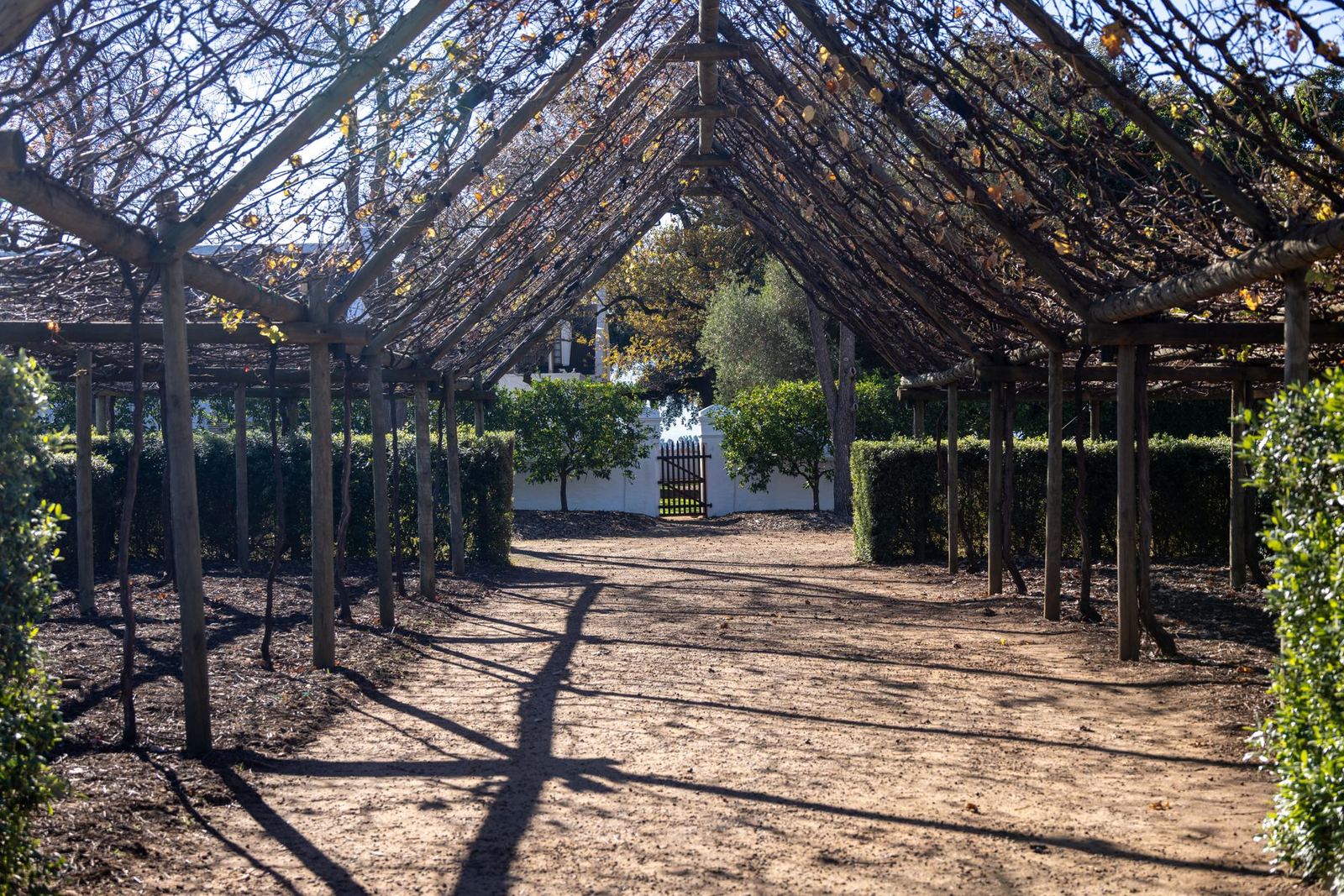 Beaulieu Garden Wedding Design Emphasizes Natural Landscape