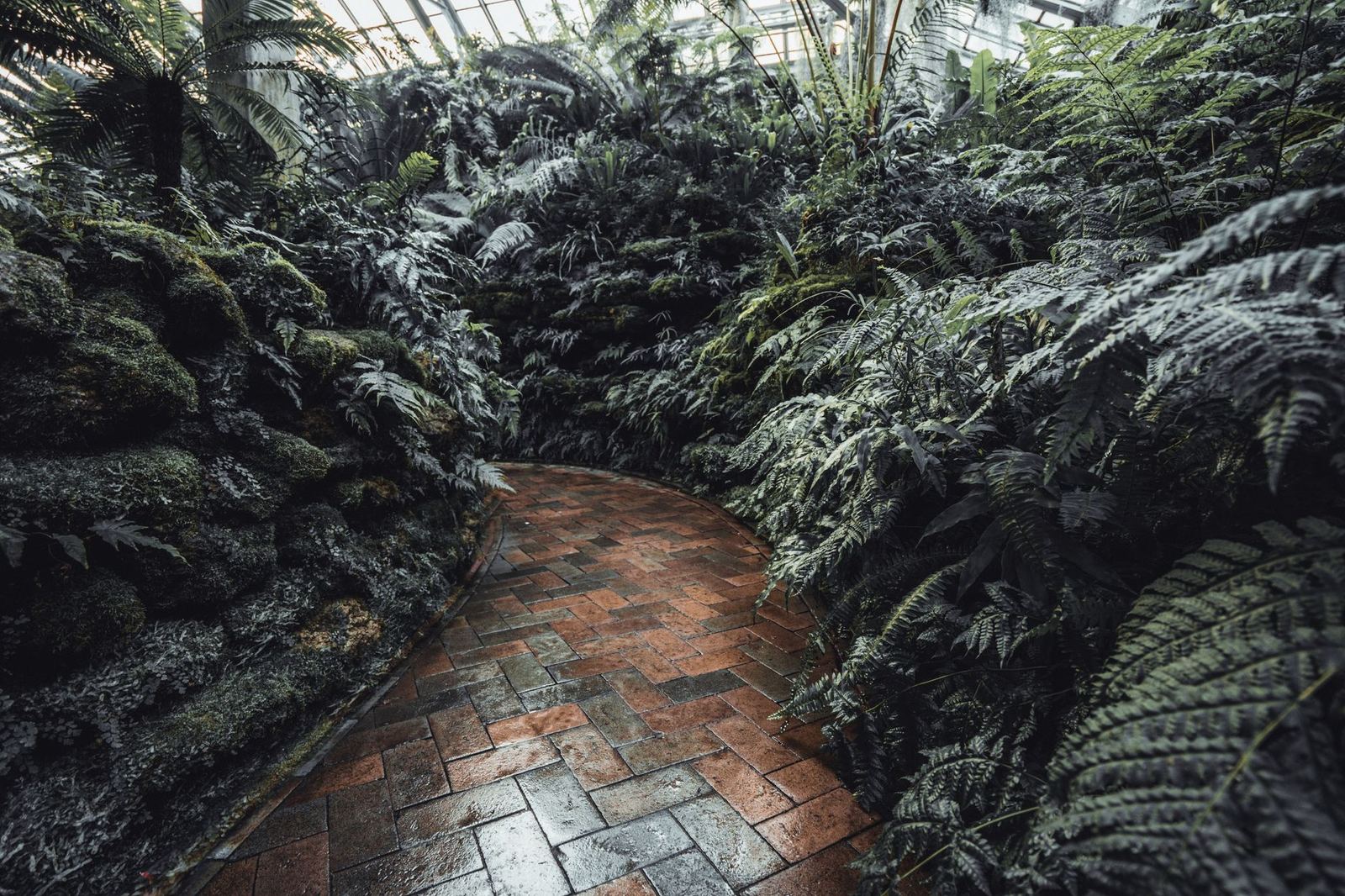 Chicago Botanic Garden Wedding Features Autumn Palette, Lela Rose Gown