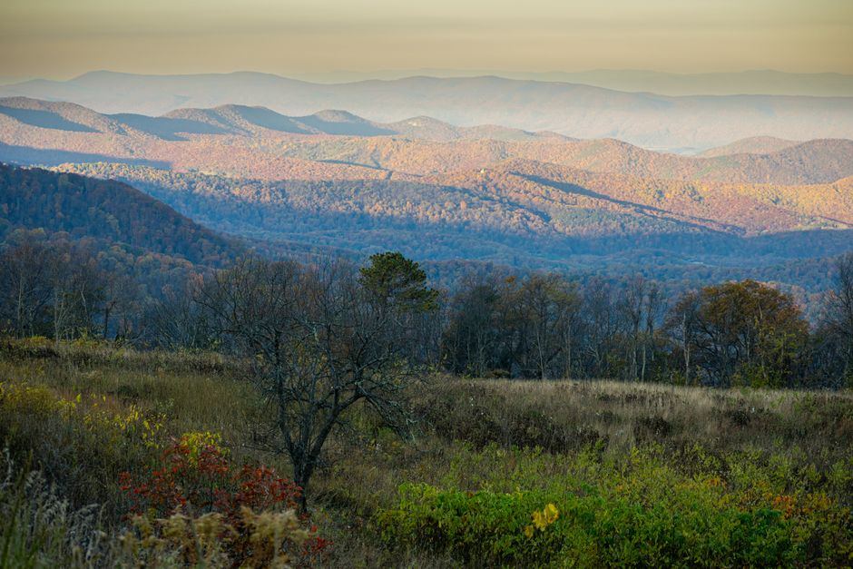 Shenandoah National Park: A Guide to Lodging Options in Virginia