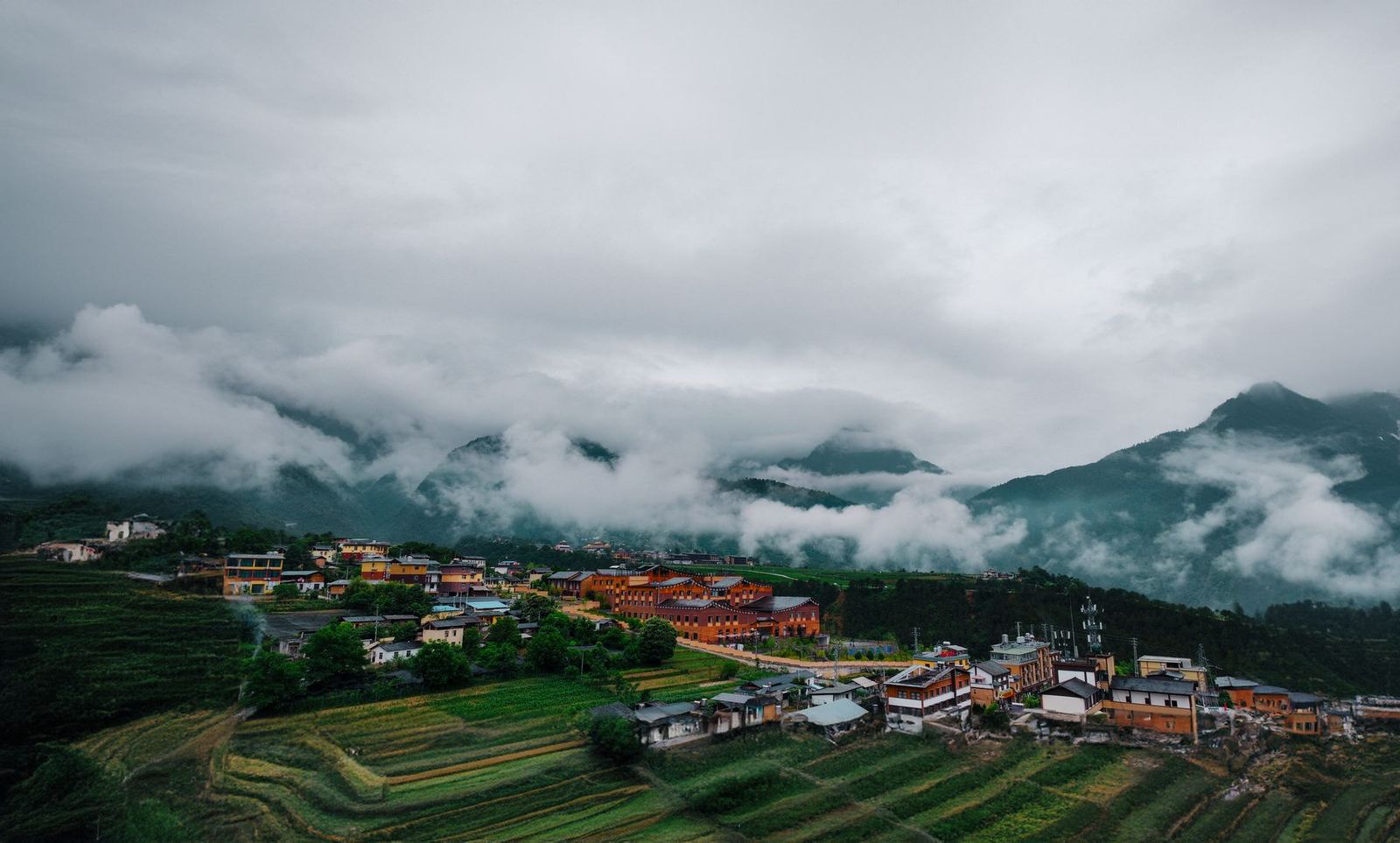 Yunnan's Wild Mushroom Season Boosts Tourism, Rural Incomes Through Culinary and Foraging Tours