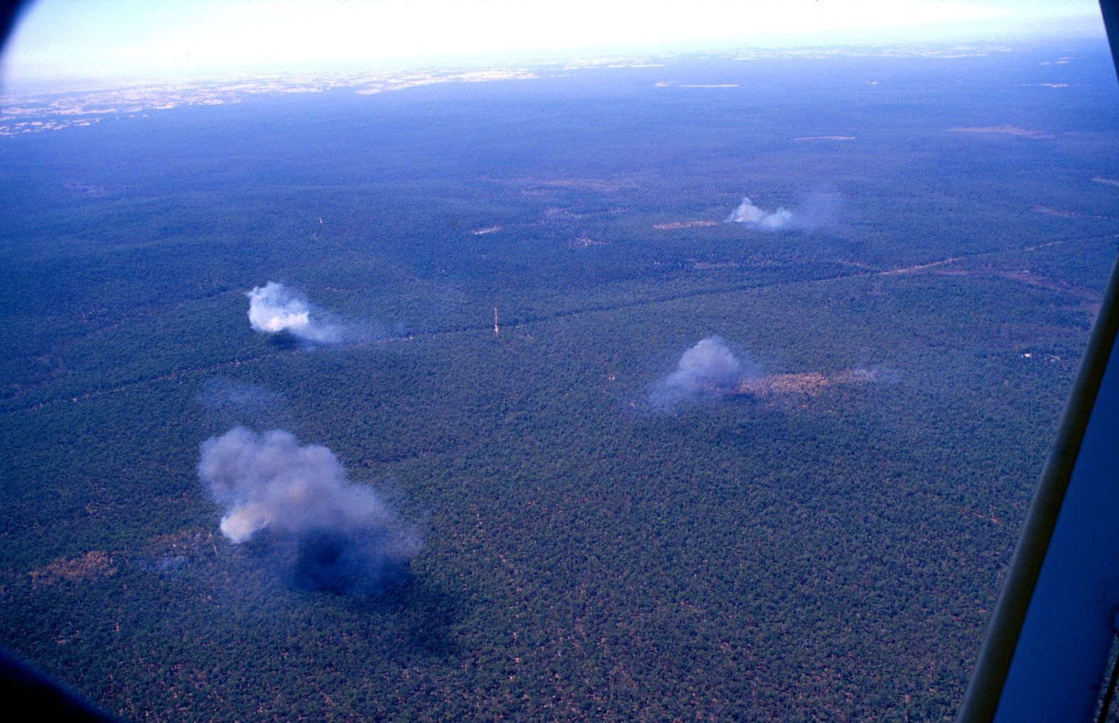 AFPA Invests $100M to Secure Australia's Timber Supply