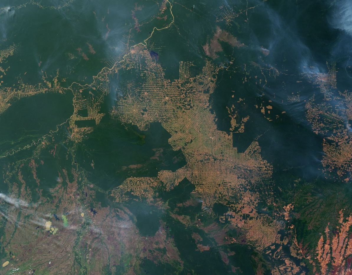 Brazil Election Threatens Amazon Timber Supply Policy