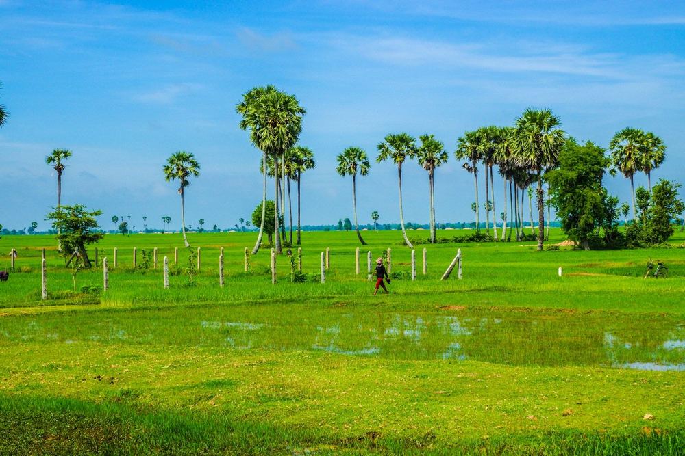 Asia Golf Journey: Caddie Tipping Guide, 2024