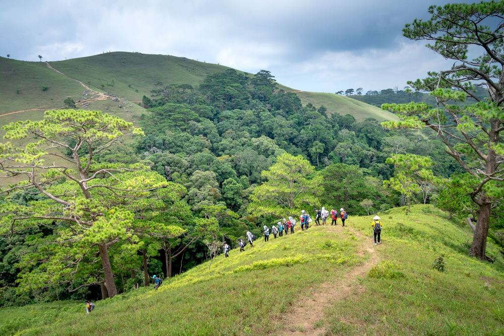 Da Lat's Lang Biang Trail Features Canine Guide Vang