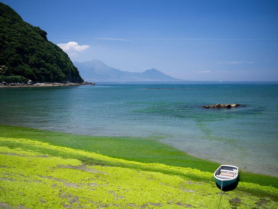 Itoshima Day Trips from Fukuoka: Coastal Nature and Access