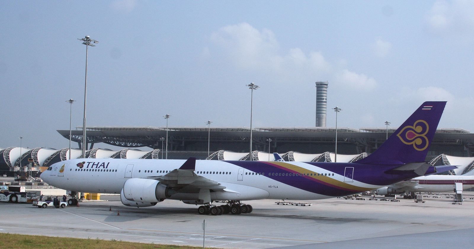 Thai Airways Cancels Flights Over Bangkok Baggage Delays